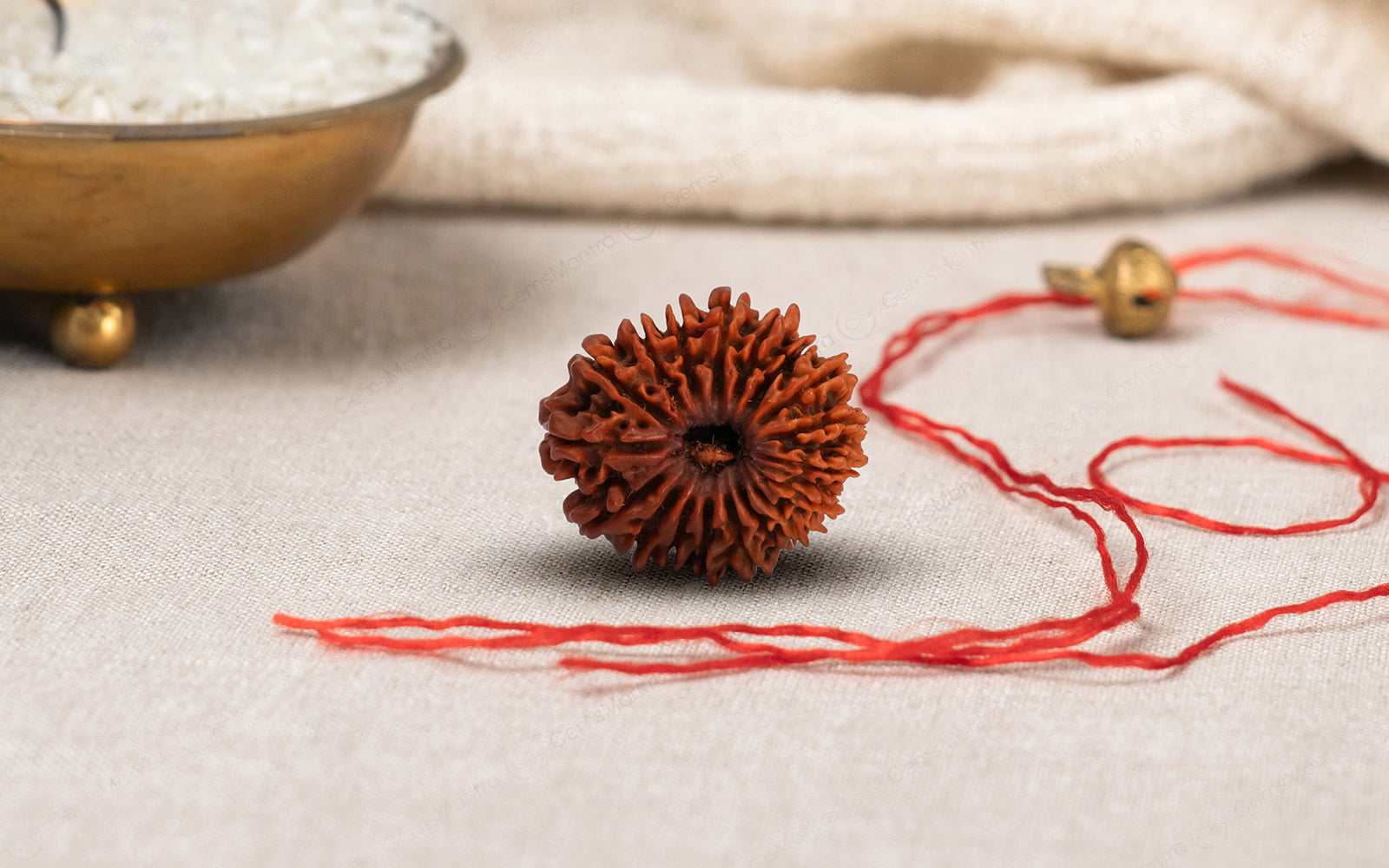 Natural 18 Mukhi Rudraksha – Original Nepali Bead