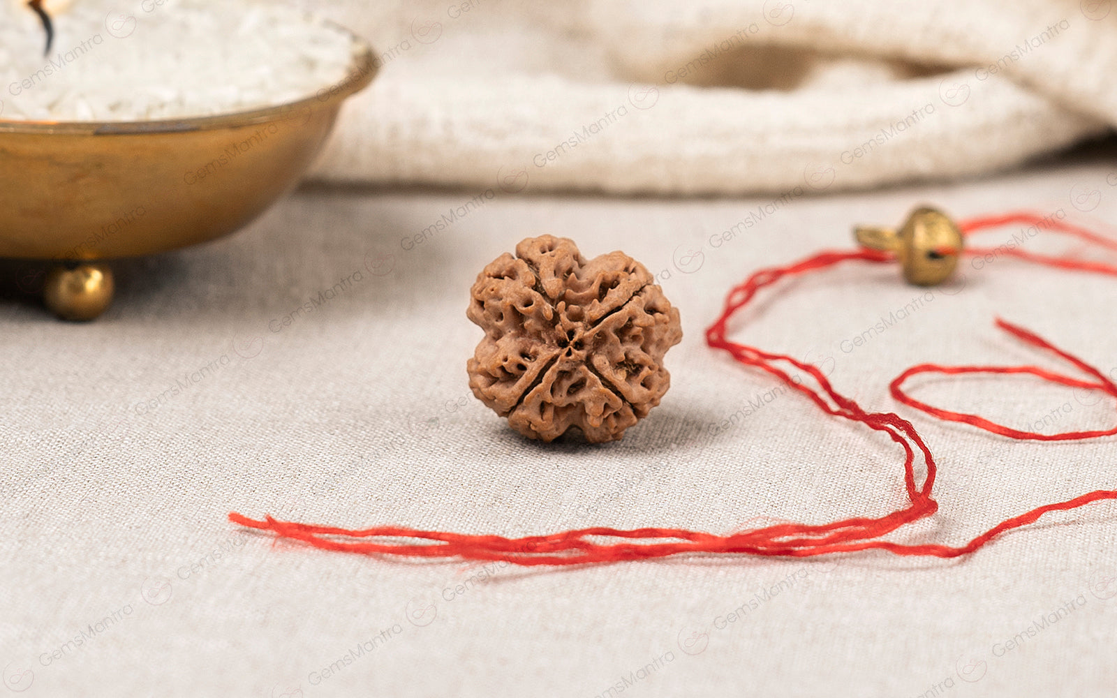 4 Mukhi Rudraksha – Original Nepali Bead