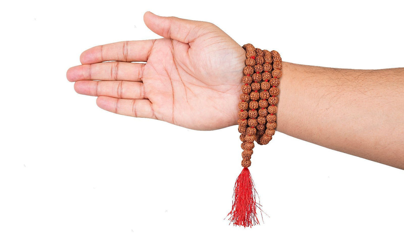 6 Mukhi Rudraksha Mala, for Japa