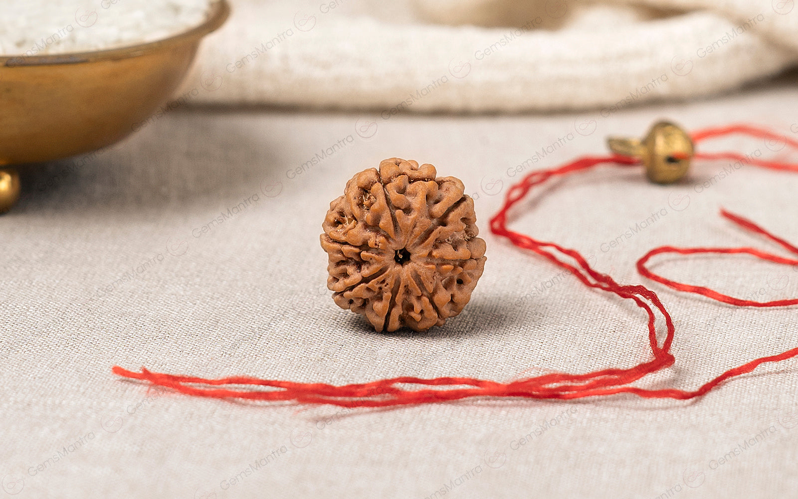 7 Mukhi Rudraksha – Original Nepali Bead