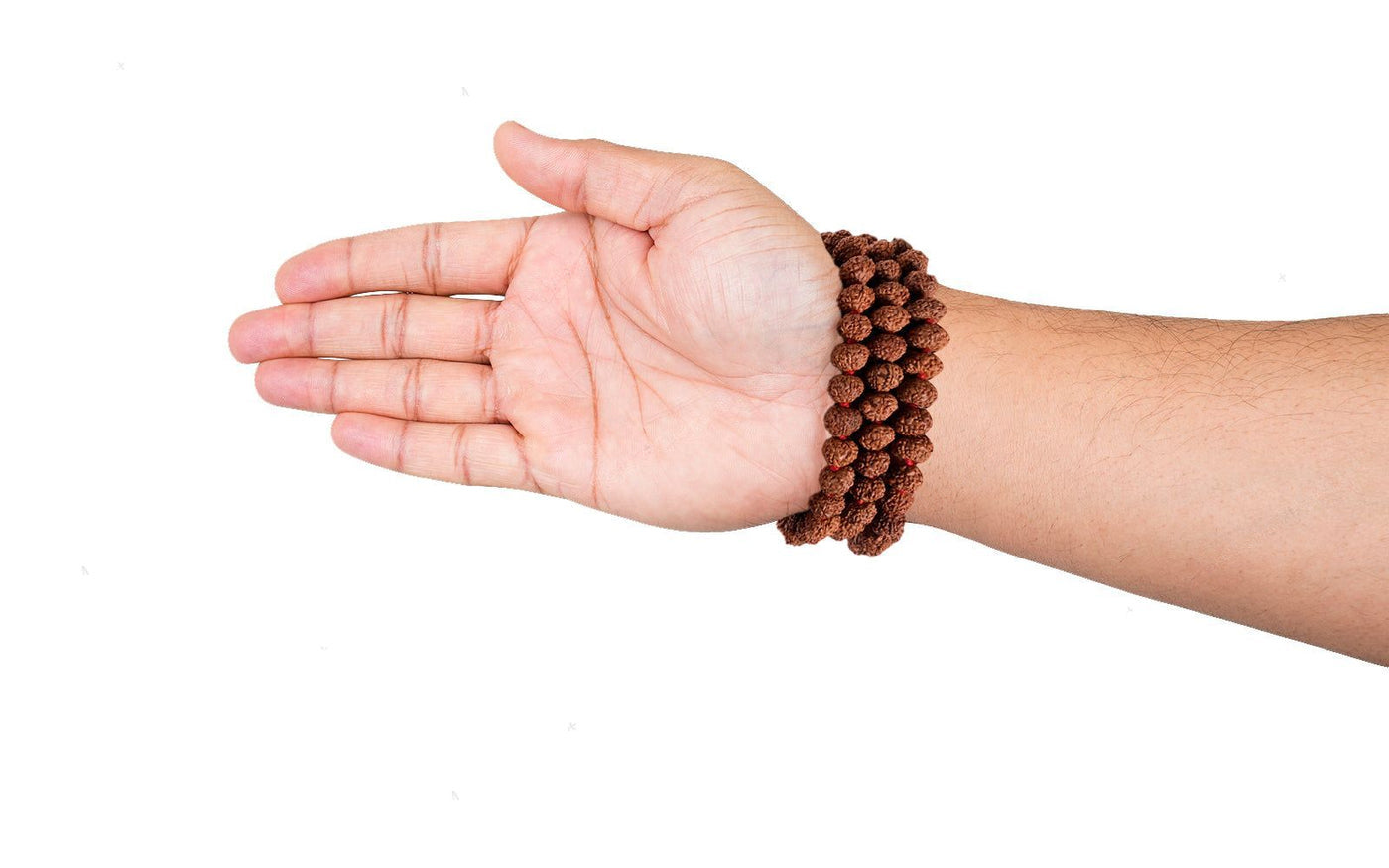 7 Mukhi Rudraksha Mala – 108 Nepali Beads, for Japa