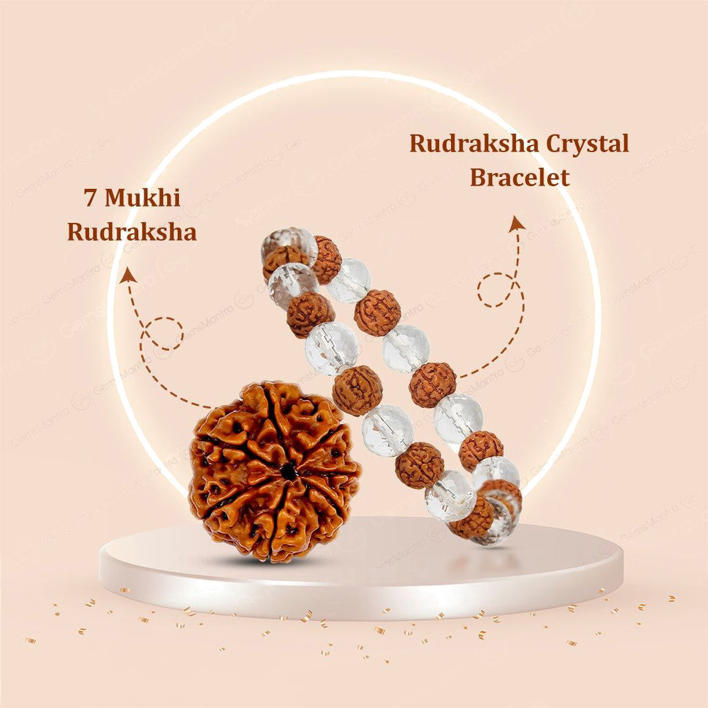 7 Mukhi Rudraksha + Rudraksha Bracelet Combo for Men