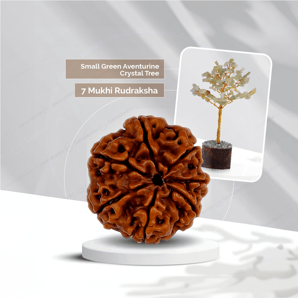 7 Mukhi Rudraksha + Small Green Aventurine Crystal Tree