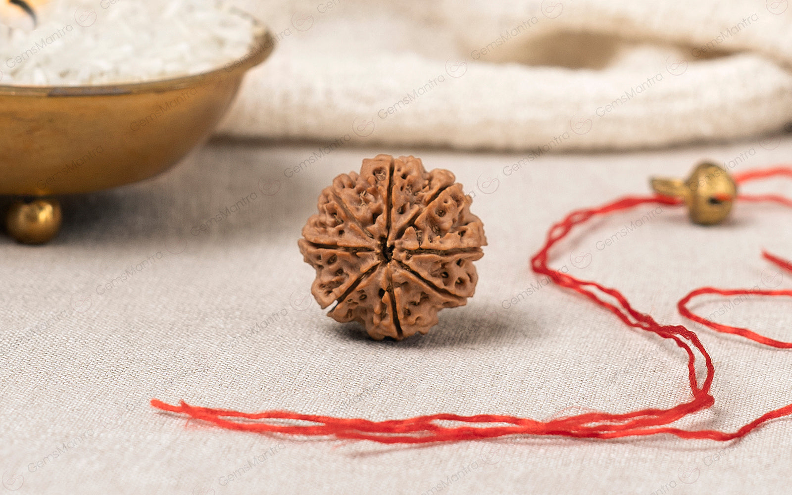 8 Mukhi Rudraksha — Aath Mukhi Rudraksha