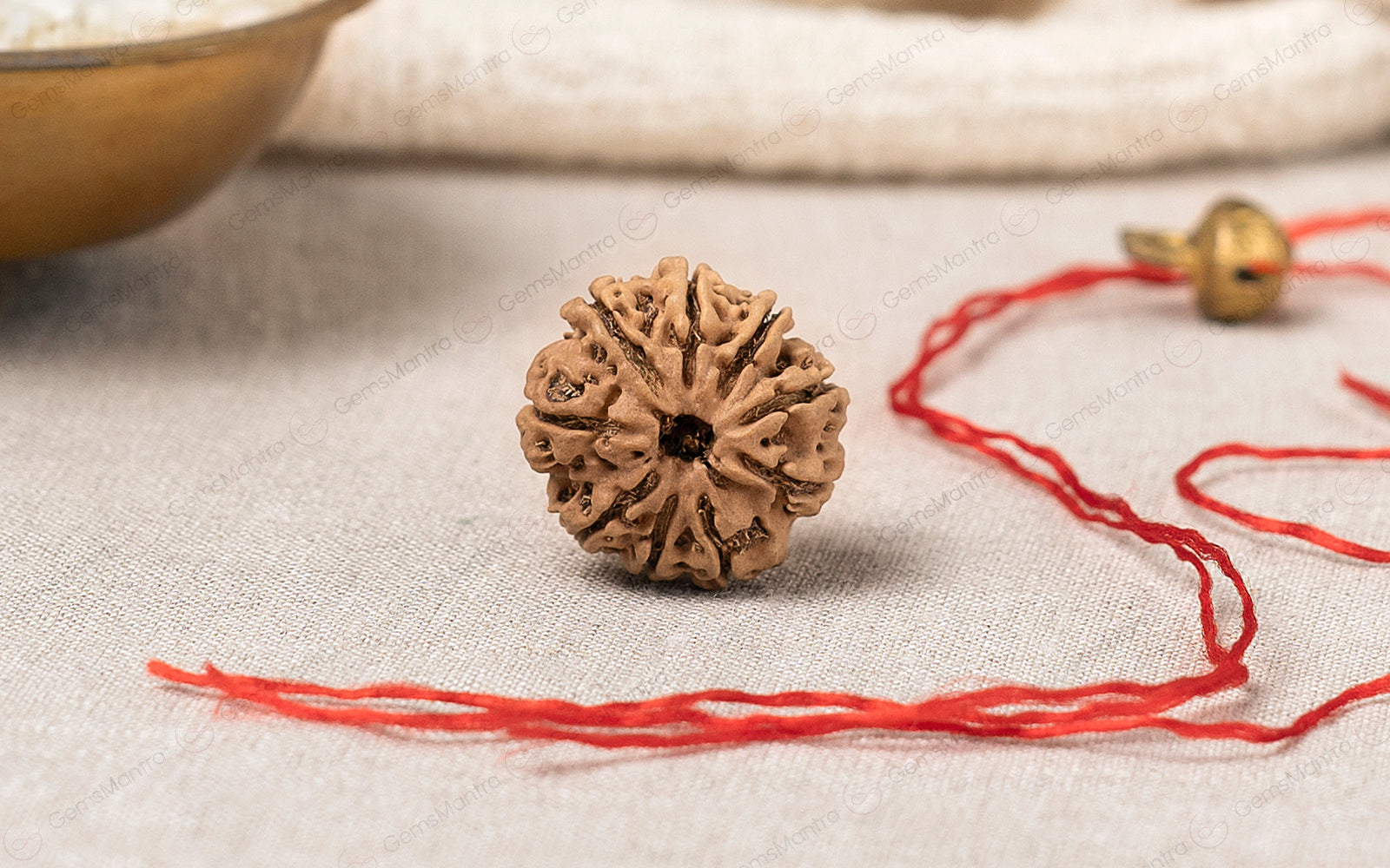 9 Mukhi Rudraksha — Nau Mukhi Rudraksha