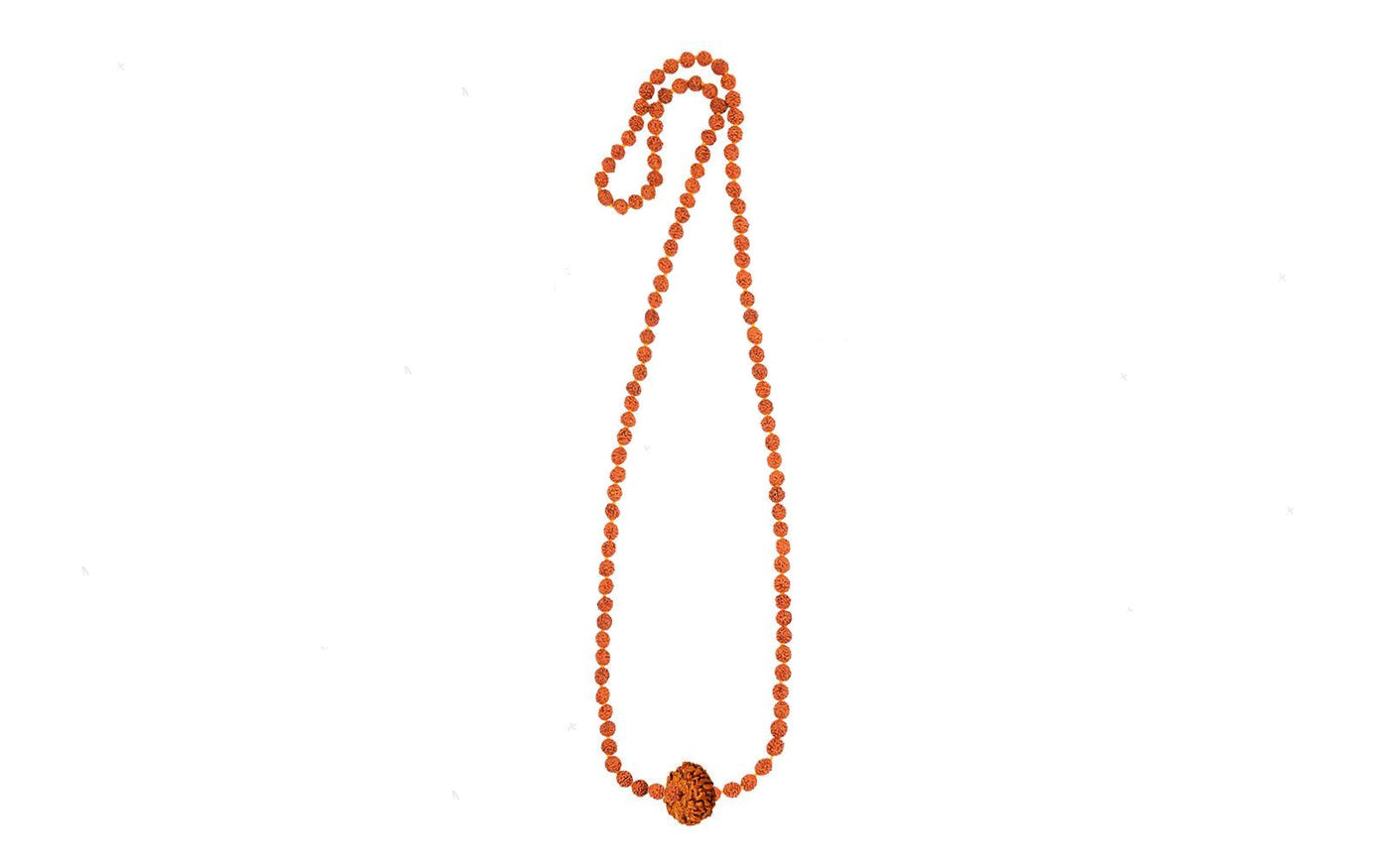 Ananta Raksha Mala – 10 Mukhi Rudraksha