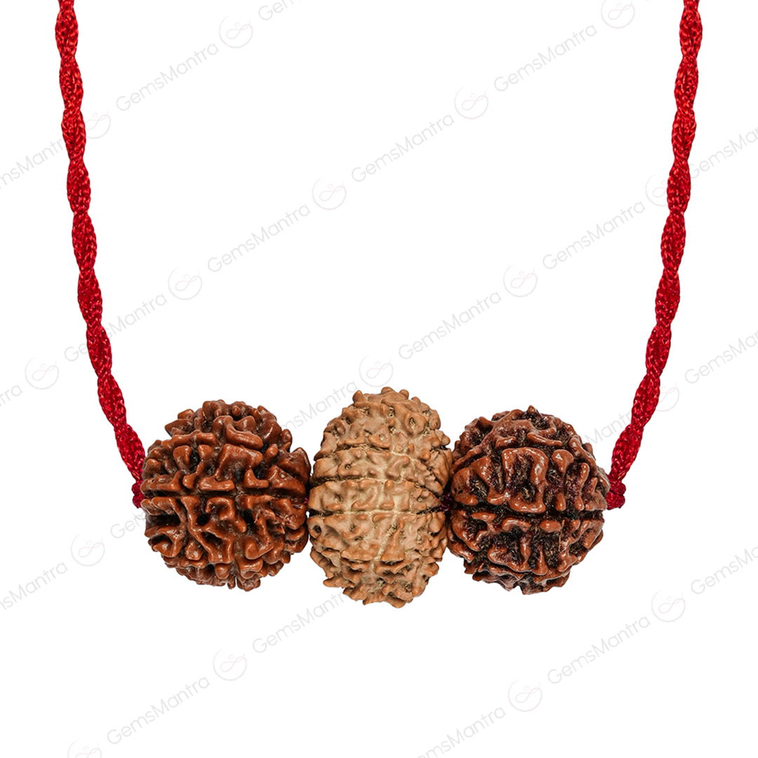 Brokers & Industrialists Kavach – 7, 8, 9 & 14 Mukhi Rudraksha