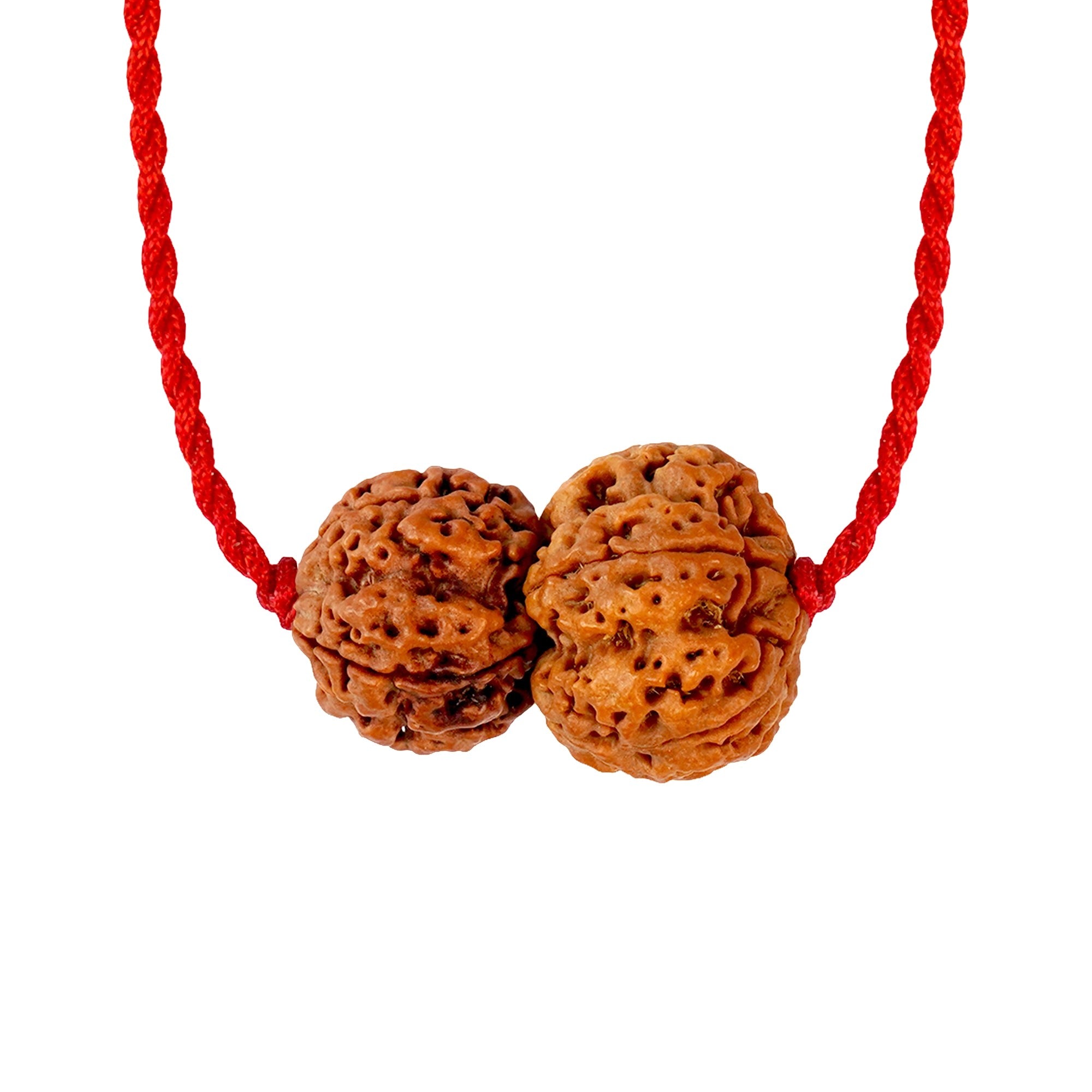 Budh-Guru Buddhi Vriddhi Kavach – 4 Mukhi Rudraksha