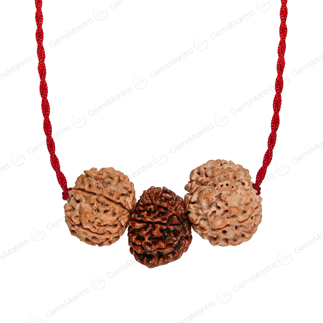 Aakarshan Vriddhi Kavach – 6 & 13 Mukhi Rudraksha