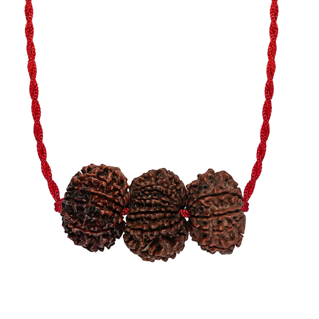 Evil Eye Raksha Kavach – 9, 10 & 11 Mukhi Rudraksha