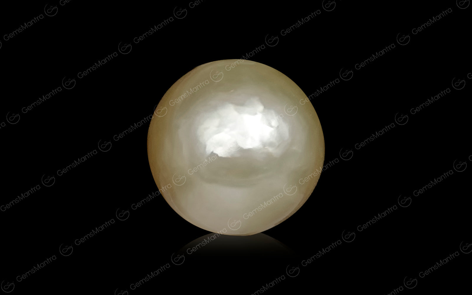 Golden South Sea Pearls