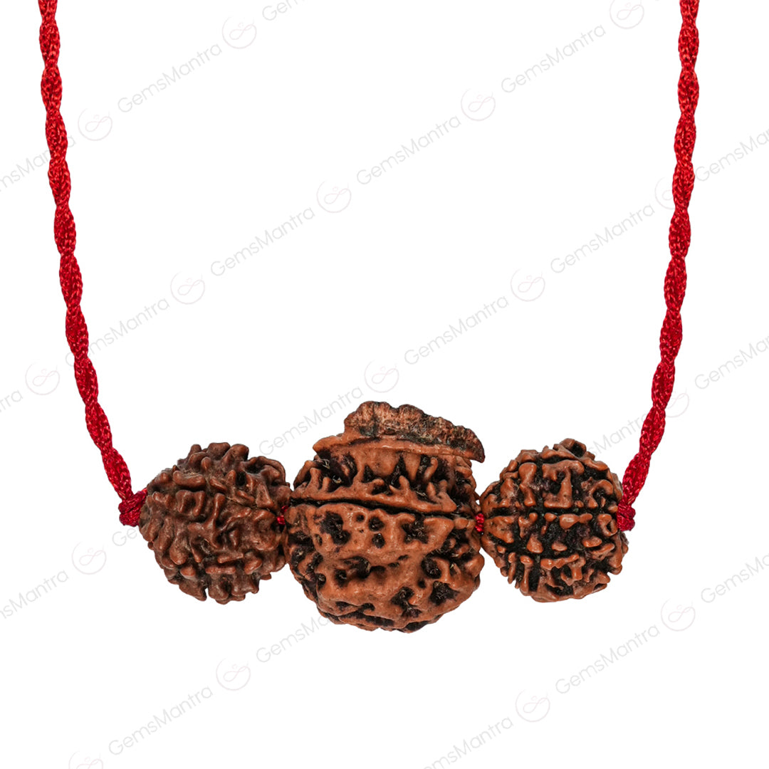 Dhan Laxmi Ganesh Kavach – 7 Mukhi + Ganesh Rudraksha