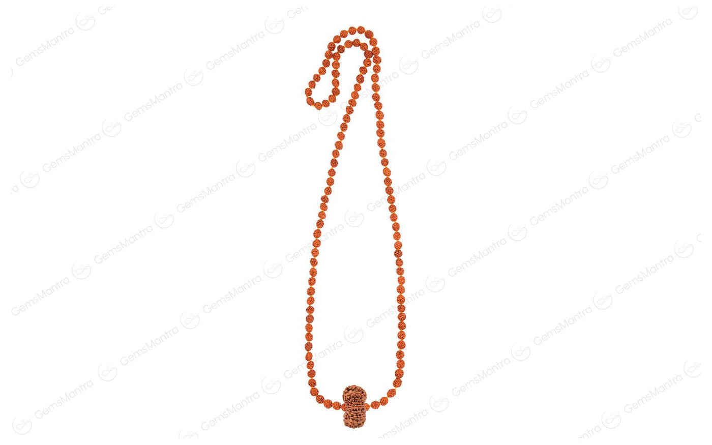 Panch Shakti Vishnu Vishwarupa Mala – 19 Mukhi Rudraksha