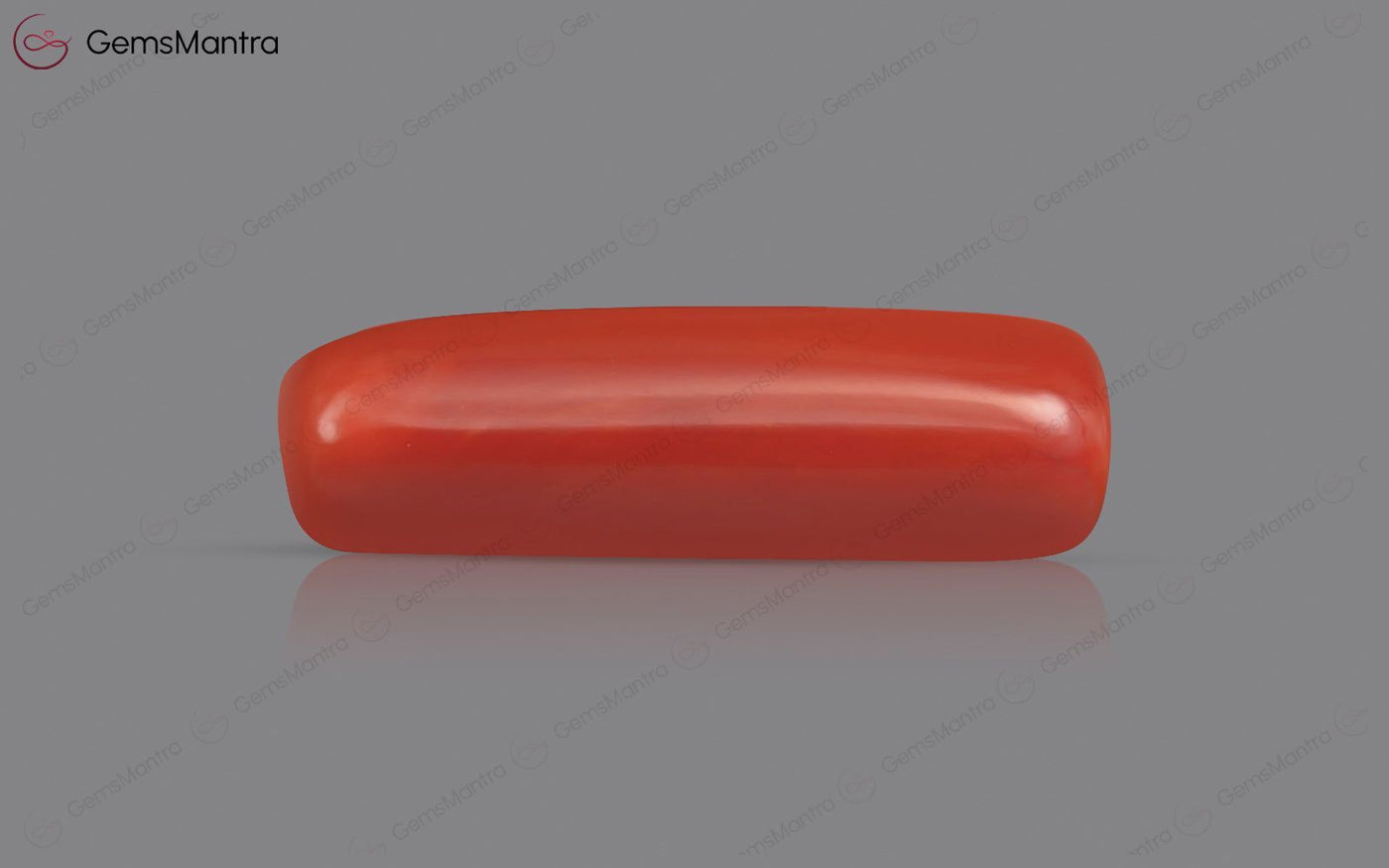 Red Coral (Moonga) – 7.62 Carat / 8.4 Ratti [GM01923]