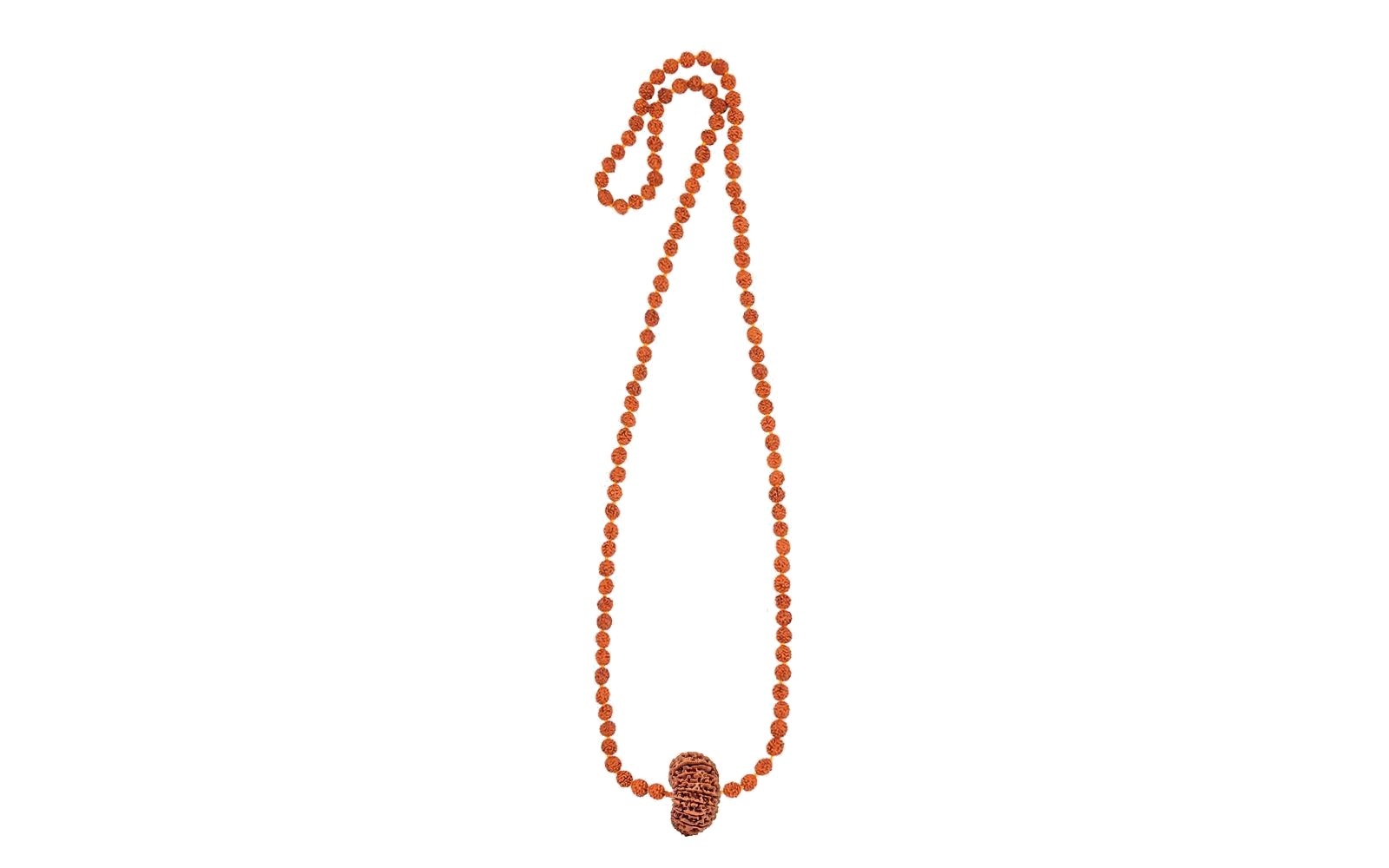 Rudra Vishnu Tattva Mala – 20 Mukhi Rudraksha