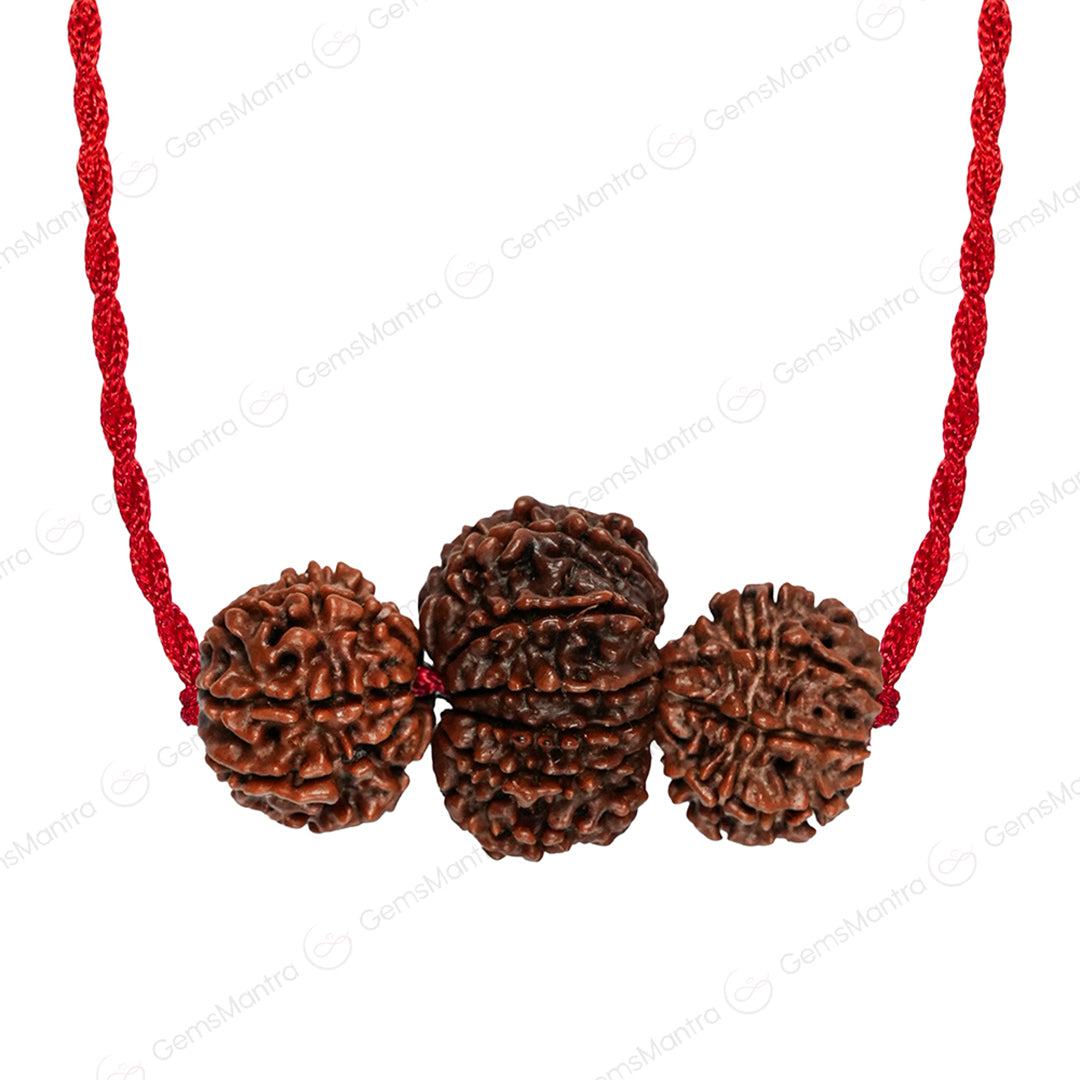 Sales Siddhi Kavach – 7, 8 & 13 Mukhi Rudraksha