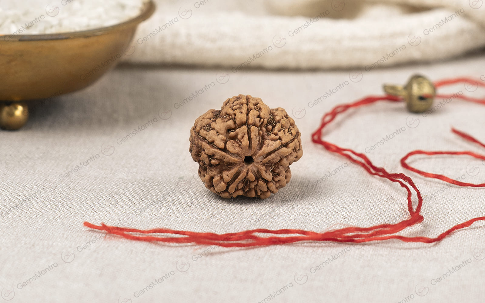 5 Mukhi Rudraksha Bead