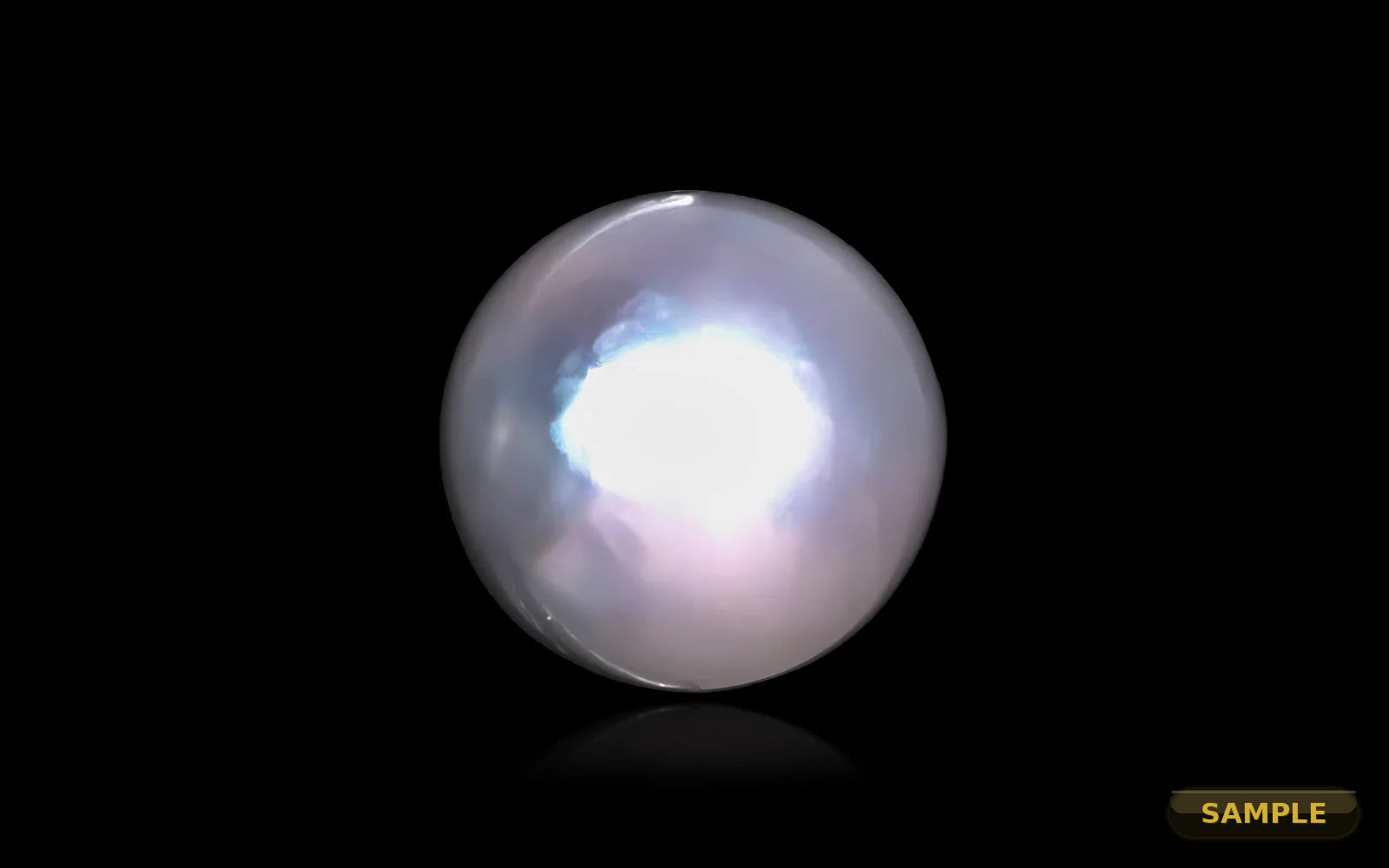 South Sea Pearl